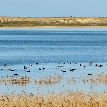 La Gallega ואלדוויניו