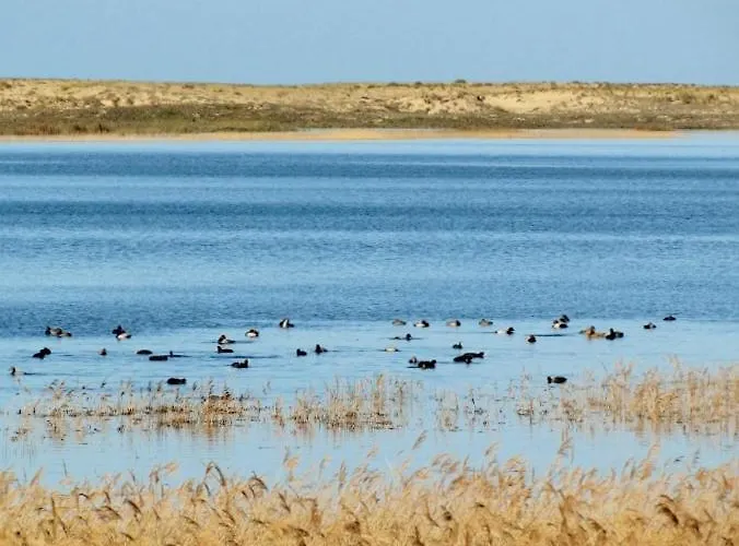 La Gallega Valdoviño